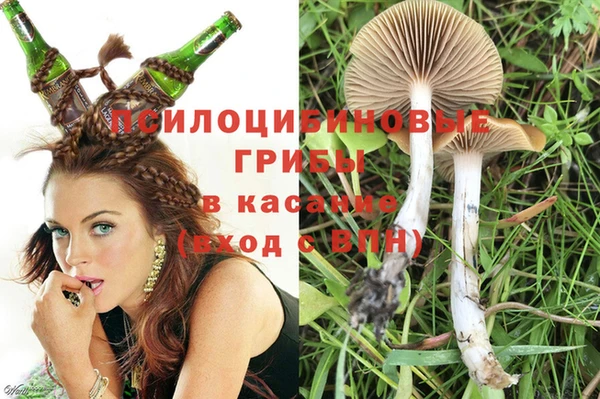 МДПВ Алексин