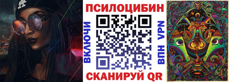 купить наркотик  mega   Псилоцибиновые грибы Cubensis  Карачев 