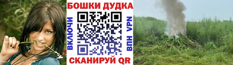 купить закладку  Карачев  Конопля конопля 